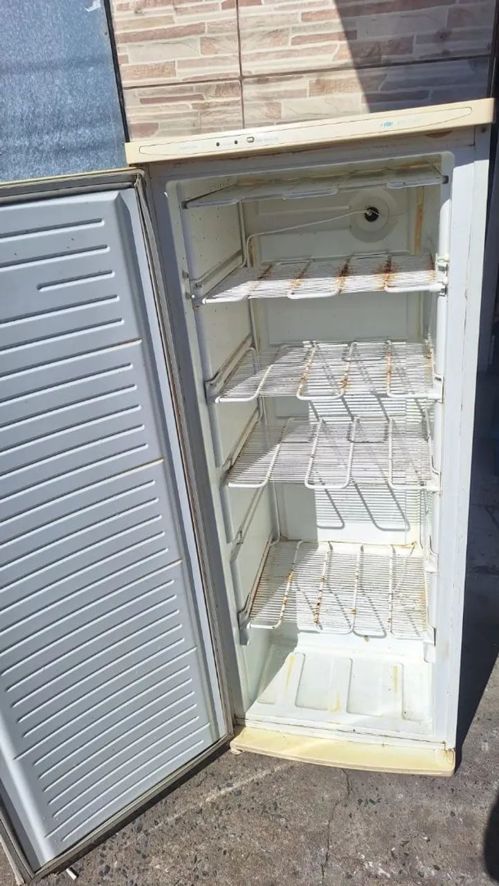 Freezer vertical 