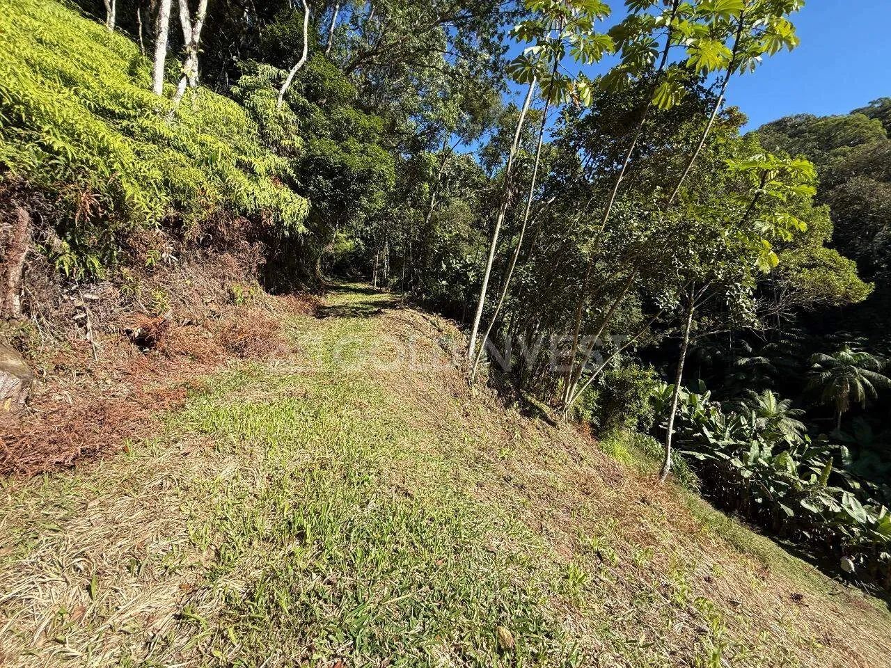 TERRENO PARA SÍTIO EM GUABIRUBA - Foto 2