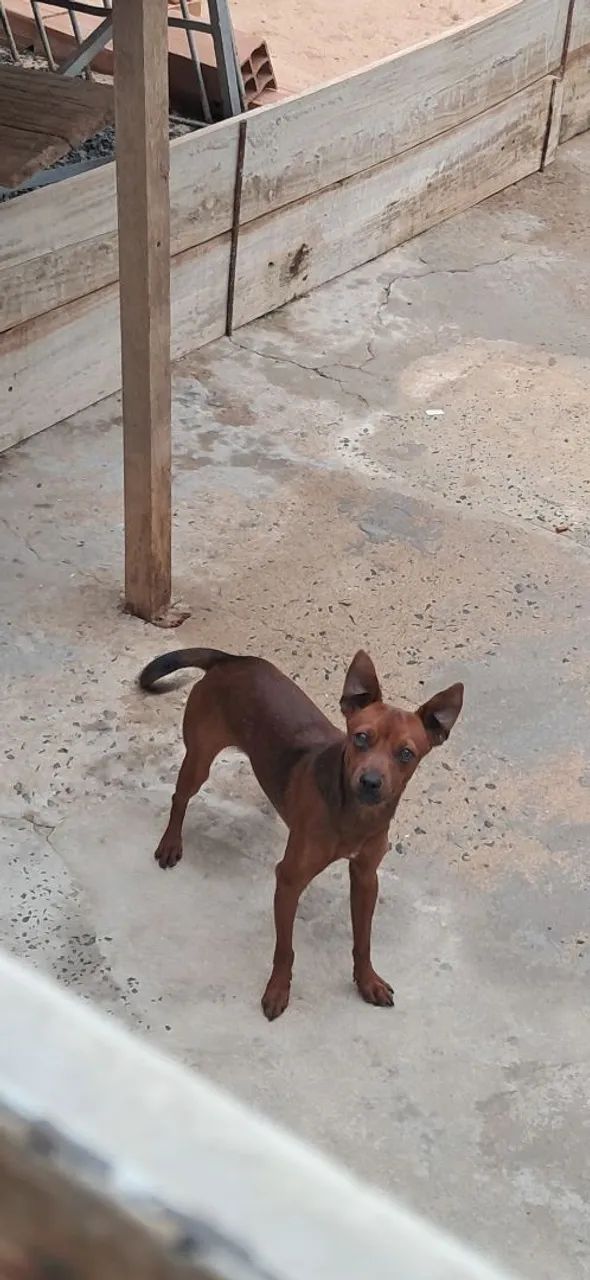 Doação