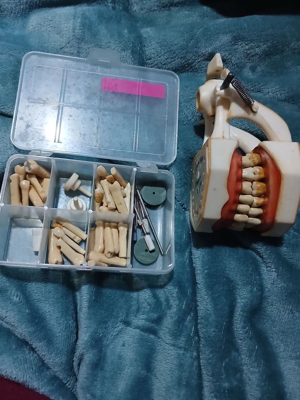 Manequim prodens com dentes extras e saca dentes perio dentística - Foto 2