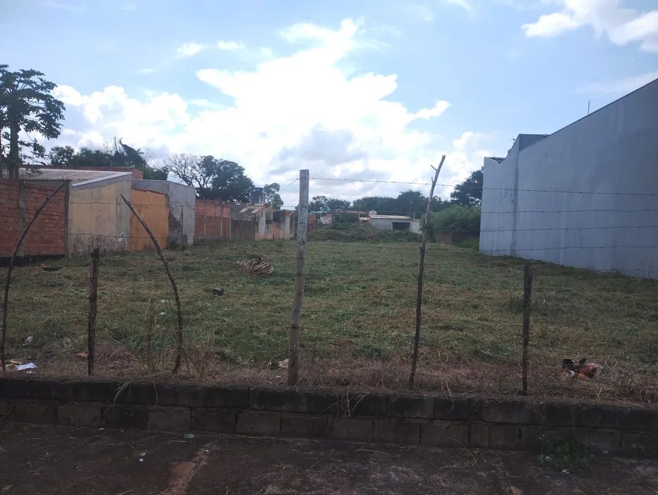 Foto - Ribeirão Preto - Vila Albertina