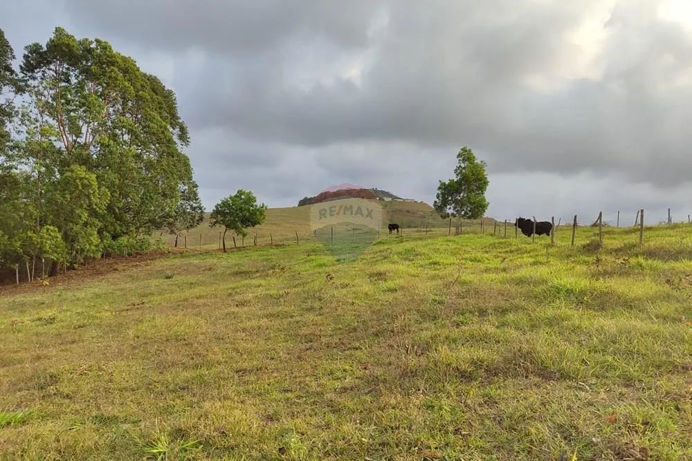 Área de 6.208 m² á venda - Foto 5