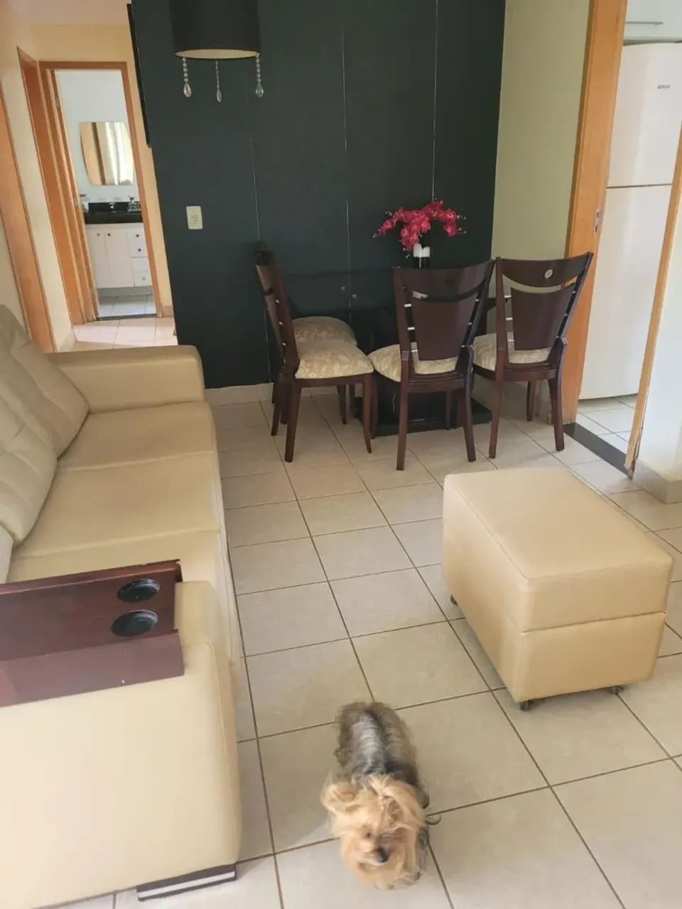 Apartamento 3 suítes mobiliado para aluguel, no Edifício River Side, Setor Bela Vista. - Foto 3