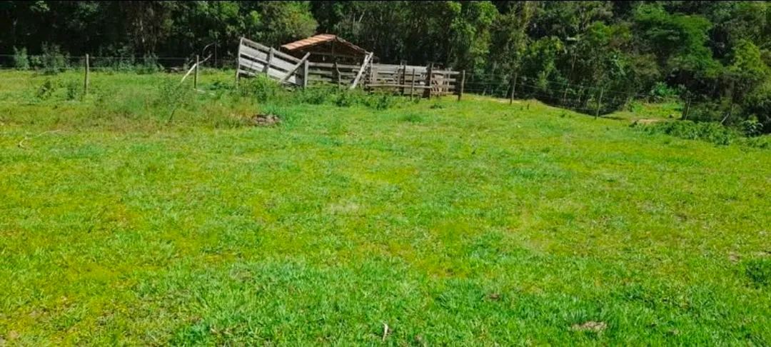 Terreno  - Foto 3