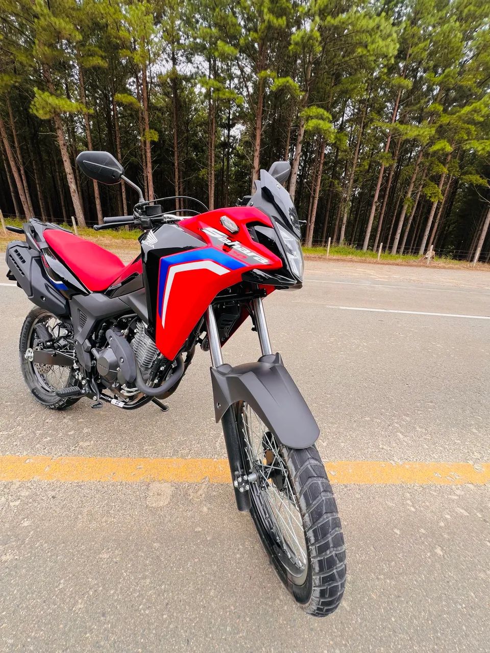 Honda Sahara 300 2026  - Foto 2