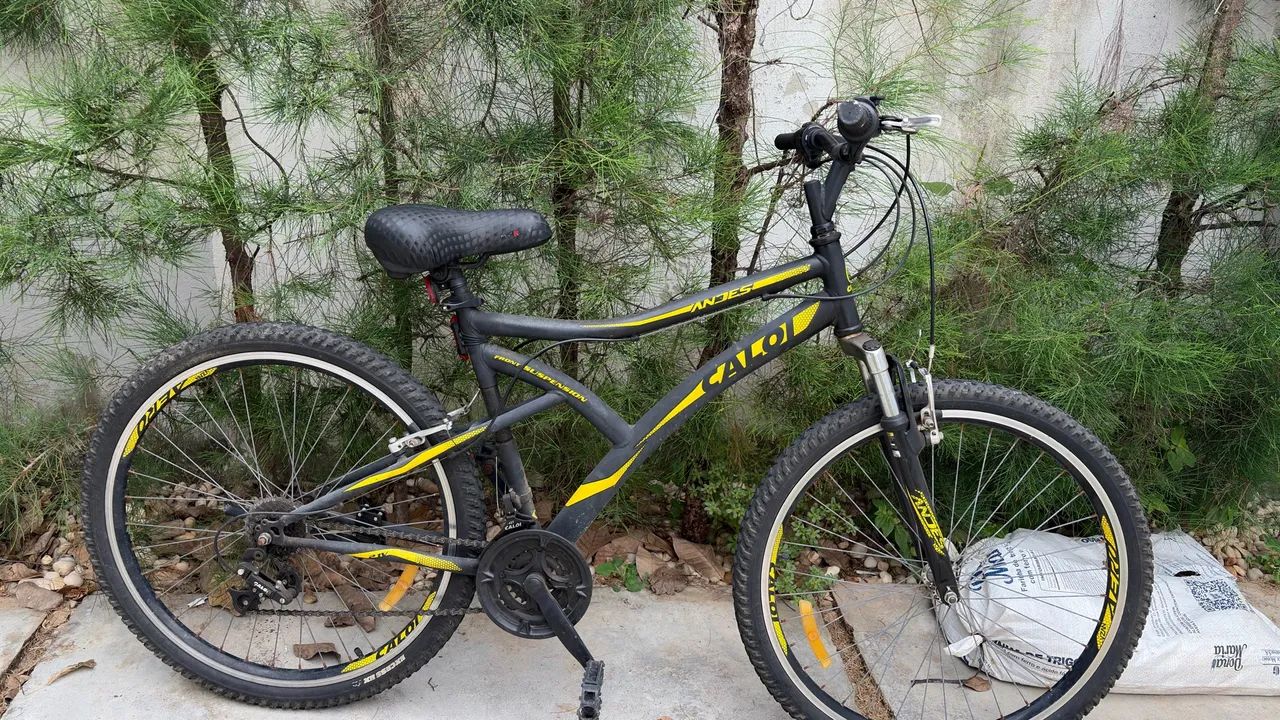 Bicicleta Caloi