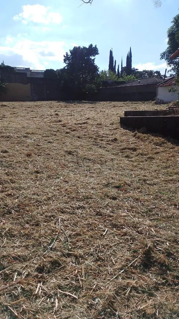 Terreno à venda em Campinas, Parque Taquaral, com 5116 m² - Foto 5