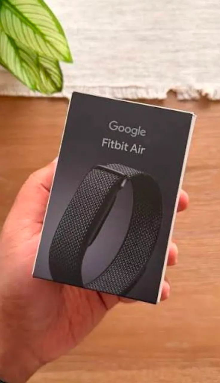 Google Fitbit Air