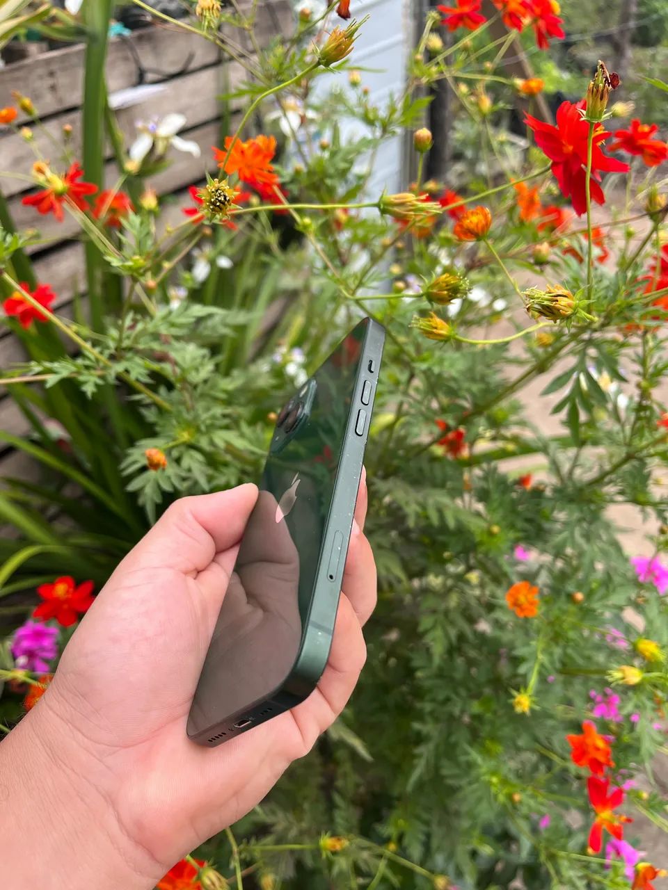iPhone 13 - Foto 4