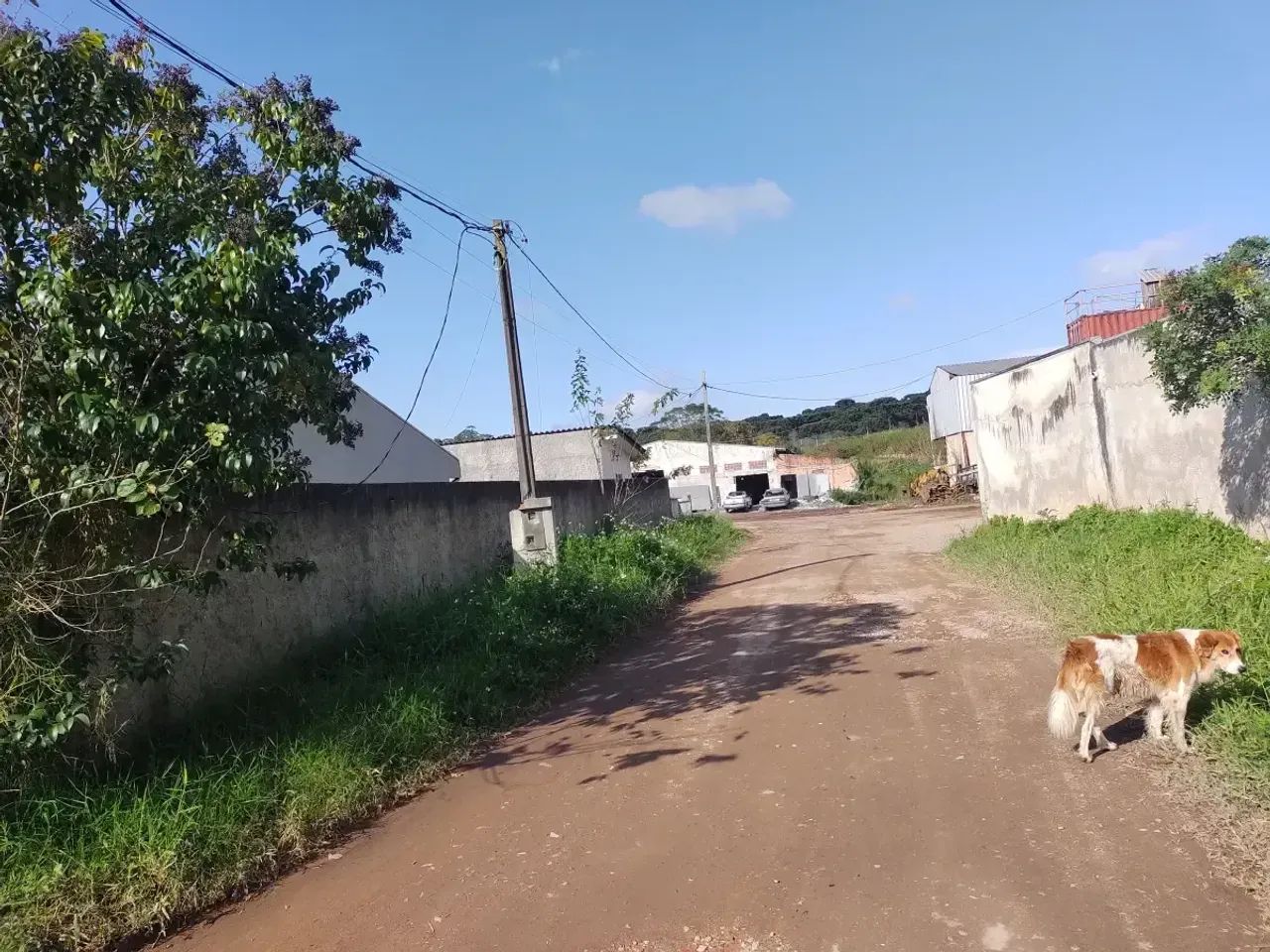 Terreno no Sítio Cercado - Foto 2