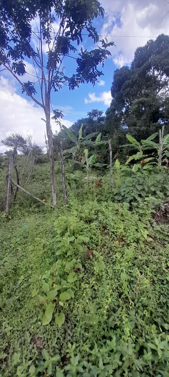 Vendo terreno no guajará  - Foto 3