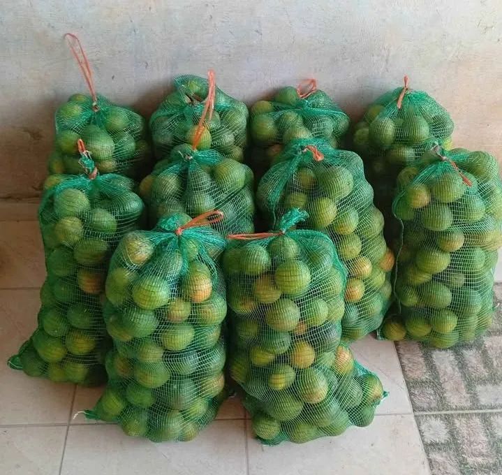 Peça já sua saca de laranja  - Foto 2