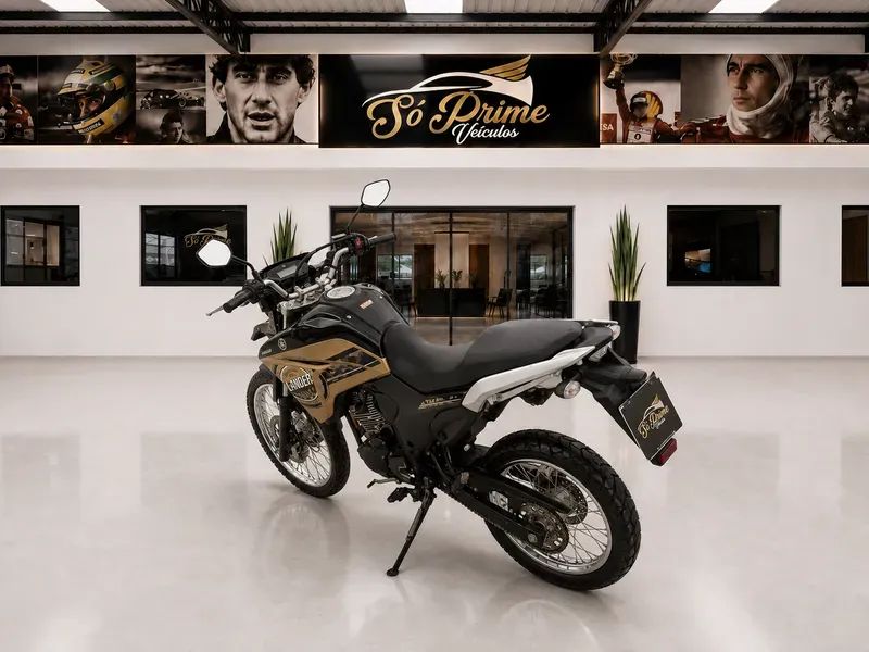Yamaha XTZ Flex Manual - Foto 5