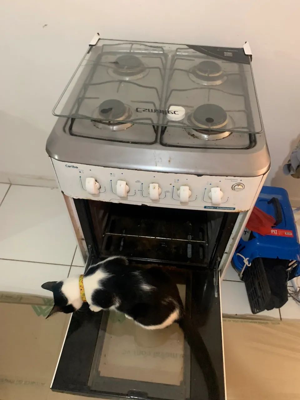 Fogão - Foto 4