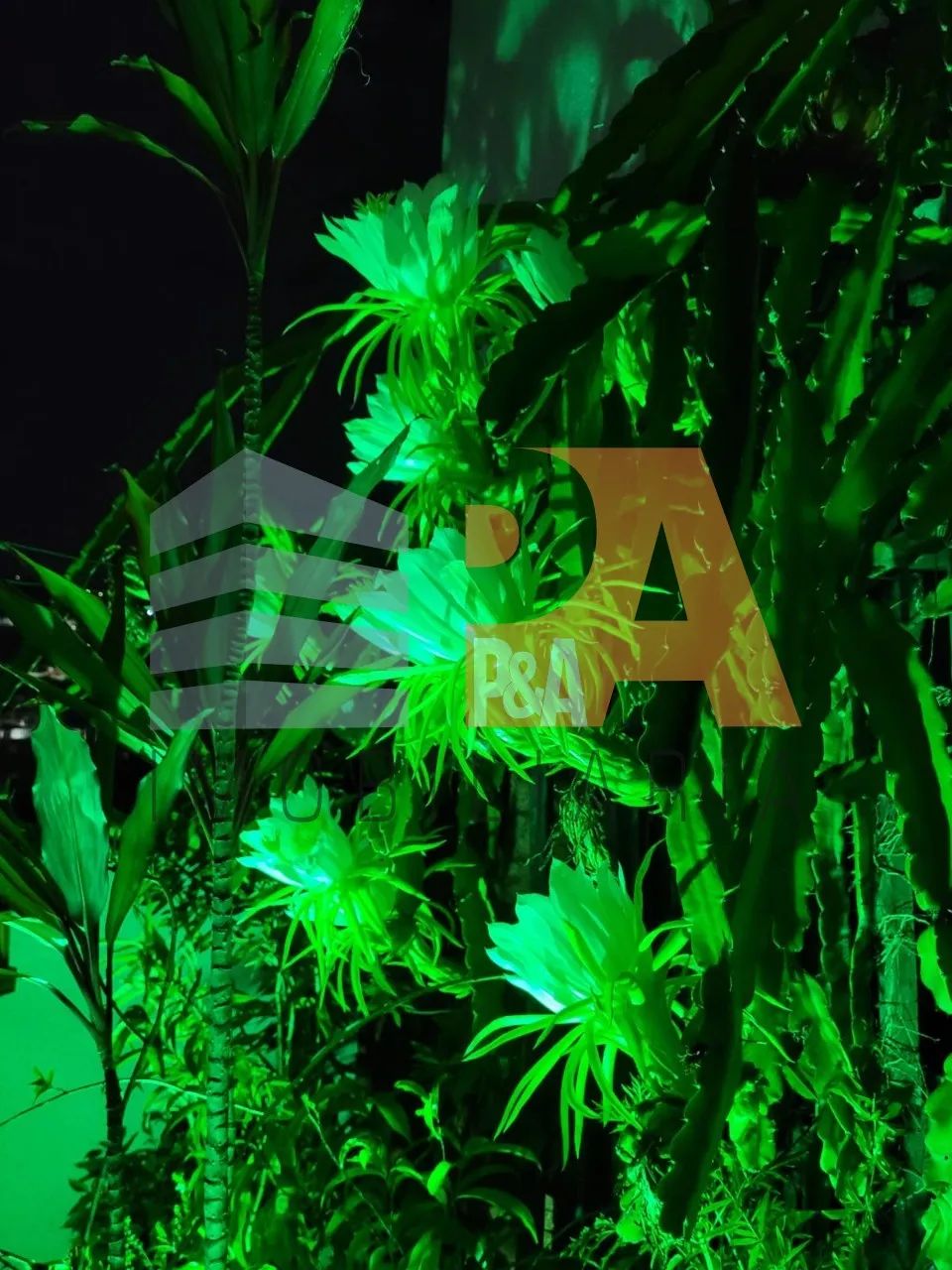 CASA RESIDENCIAL em Pedreira - SP, Vila Monte Alegre - Foto 2