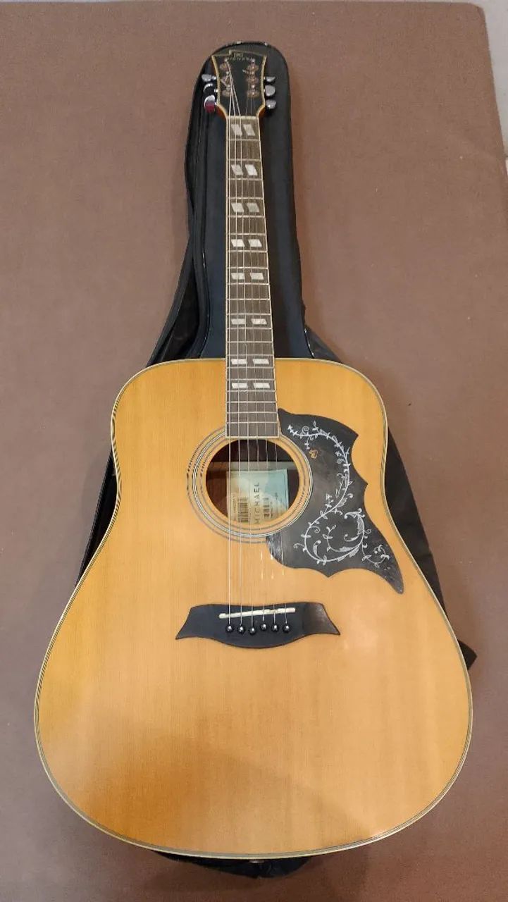 Violão Folk Michael VM925 + Bag Acolchoada (FAÇO A ENTREGA)