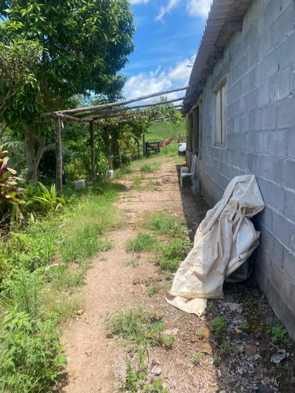 Sitio 8.8 Hectare. 990.000 mil - Foto 2