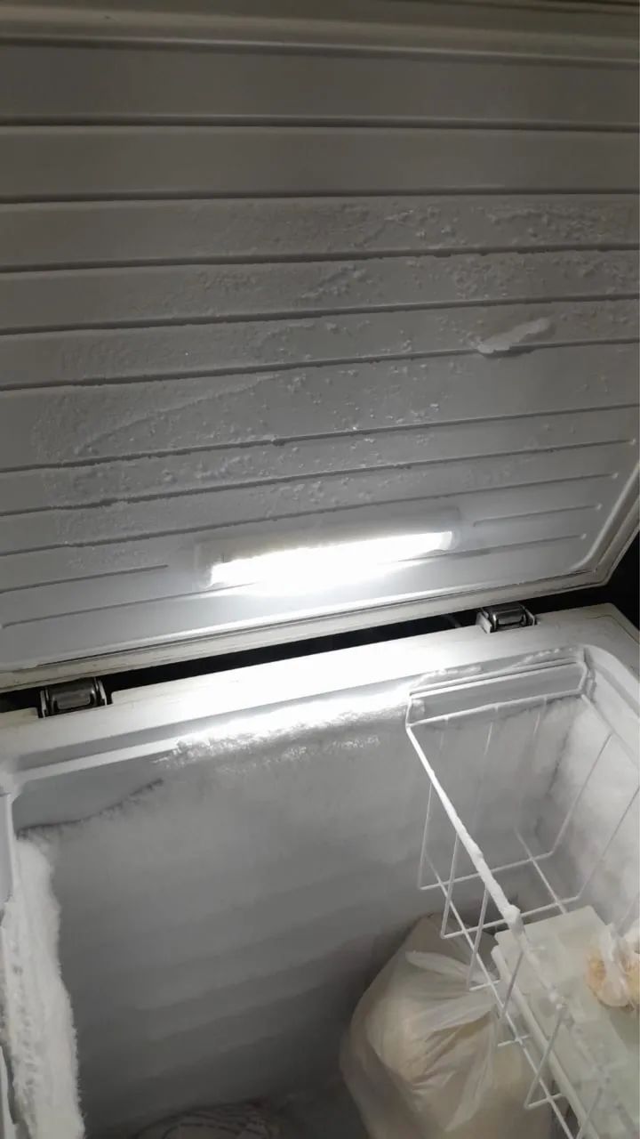 Freezer Electrolux - Foto 4