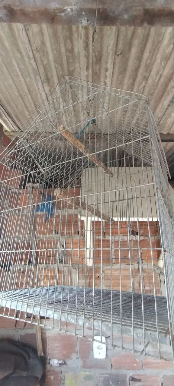Gaiola para calopsita