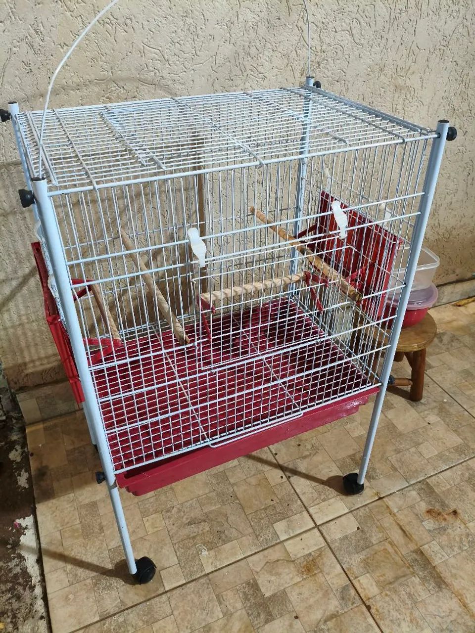 Gaiola calopsita - Foto 2