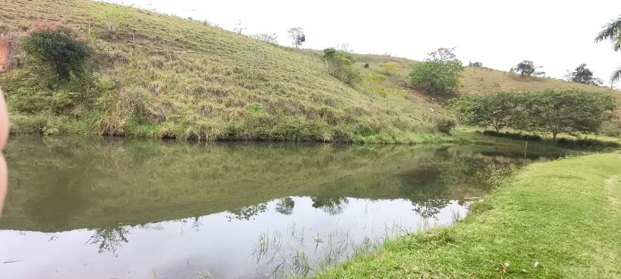 FAZENDA  - Foto 5