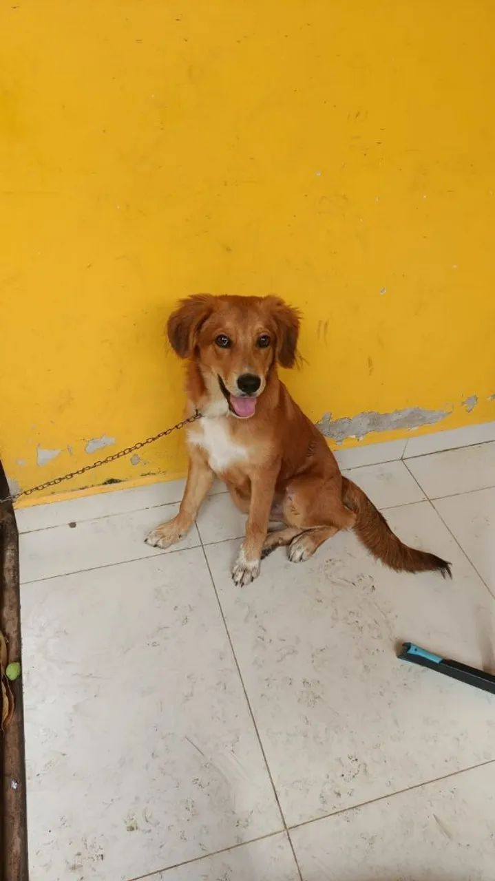 Doação ?
