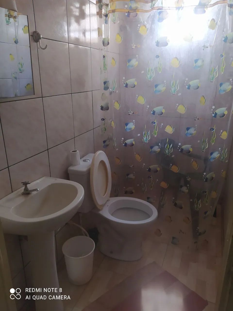 Chácara  - Foto 5