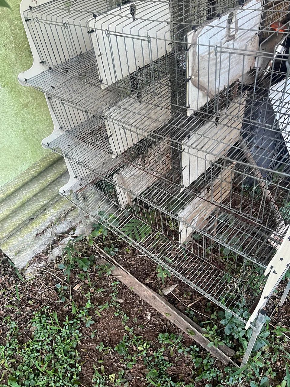 Gaiola para codorna  - Foto 3