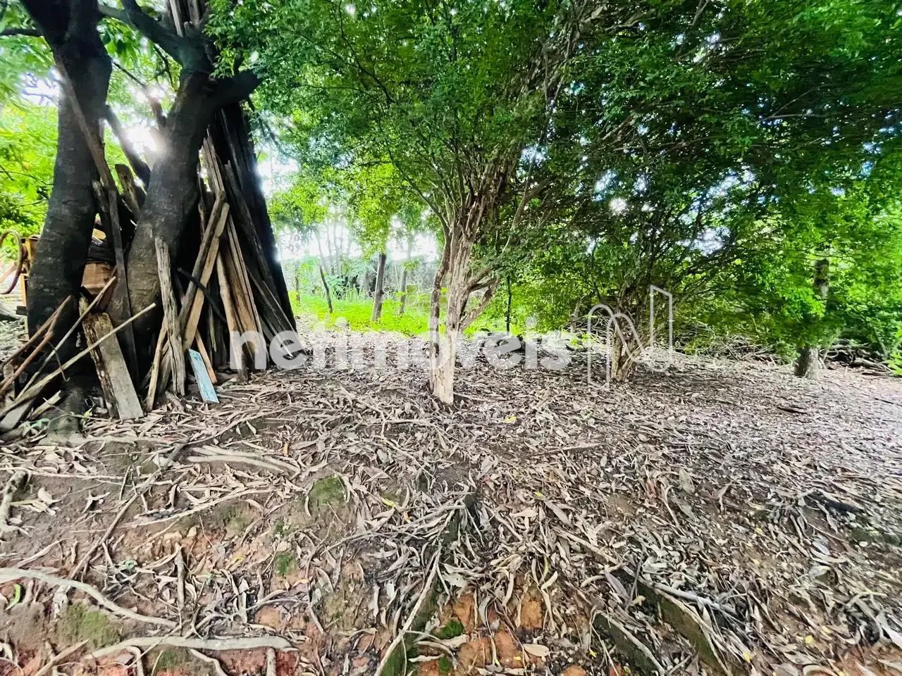 Lote de 300m²; no Pindorama! - Foto 4