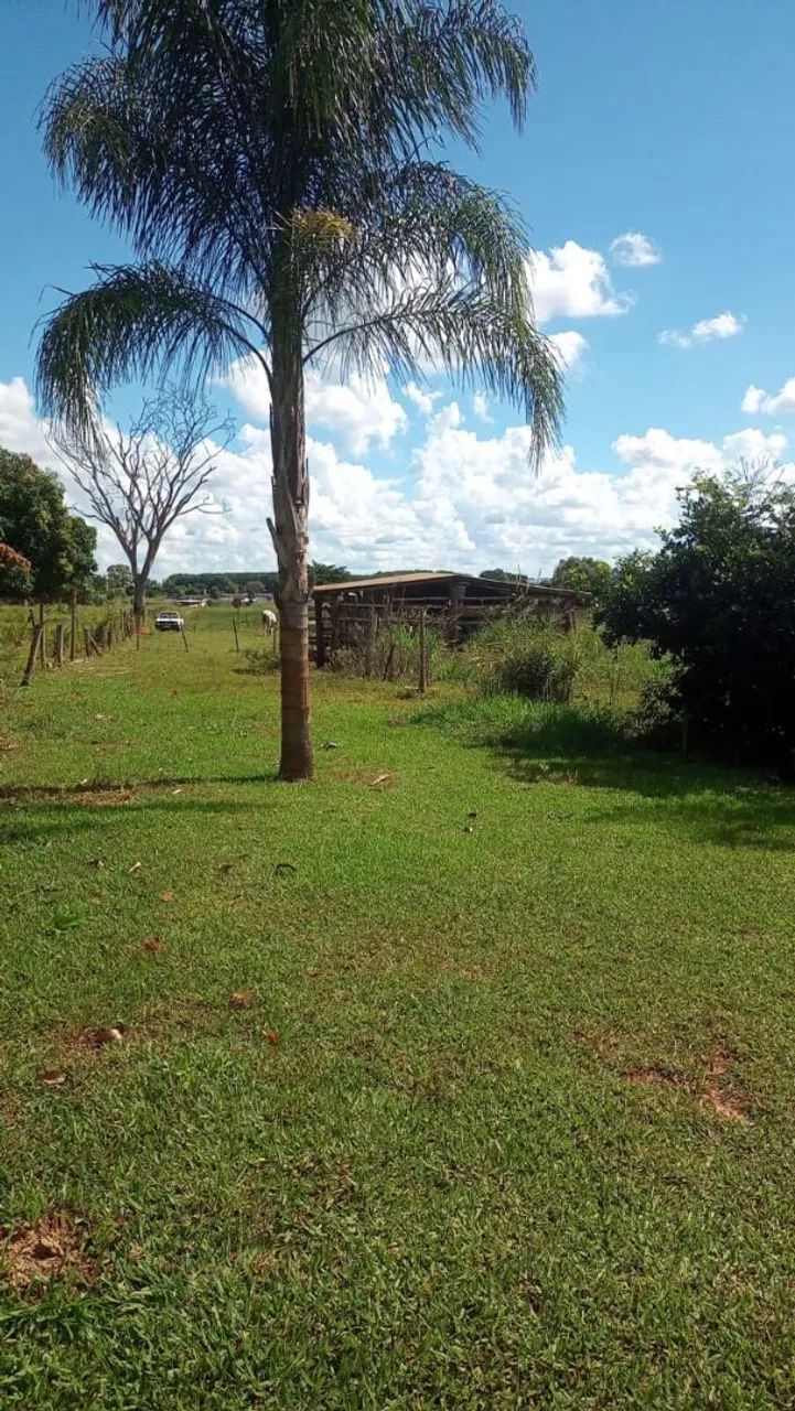 Foto - São José do Rio Preto - Estância São Marcos II e IV (Zona Rural)