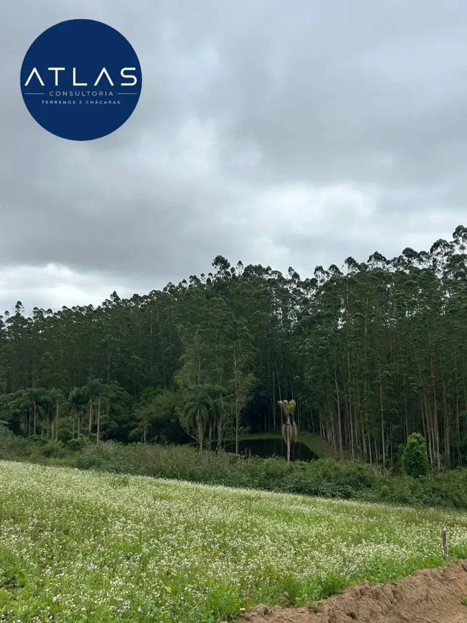 Próximo ao Pesqueiro Recanto dos Tambaás - Foto 5