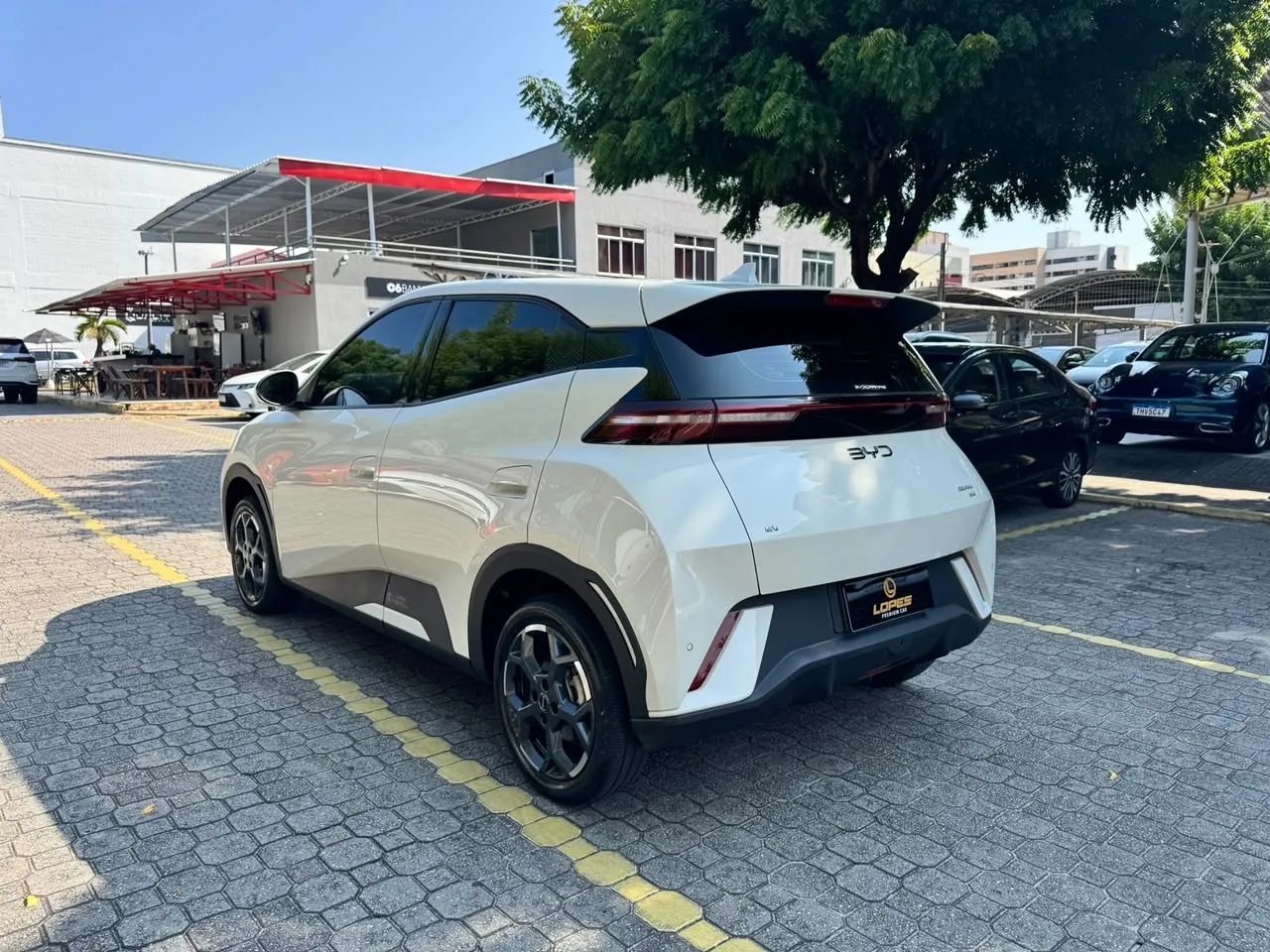 BYD Dolphin Mini (Elétrico) 2026 - Foto 5