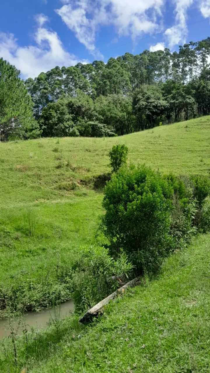 CHACARA 2 HECTARES A VENDA EM ANITAPOLIS  - Foto 2