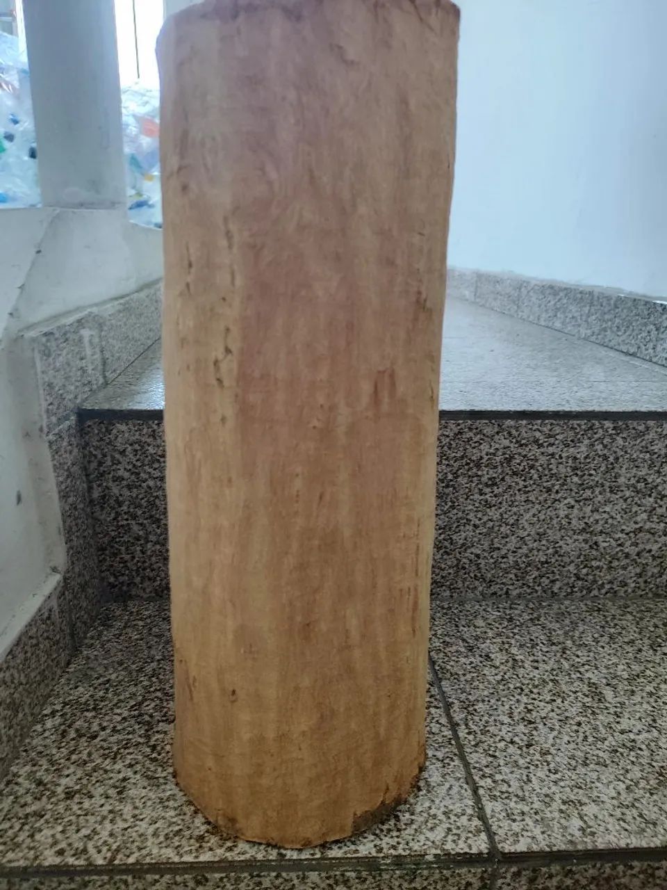 Tronco de árvore  - Foto 3