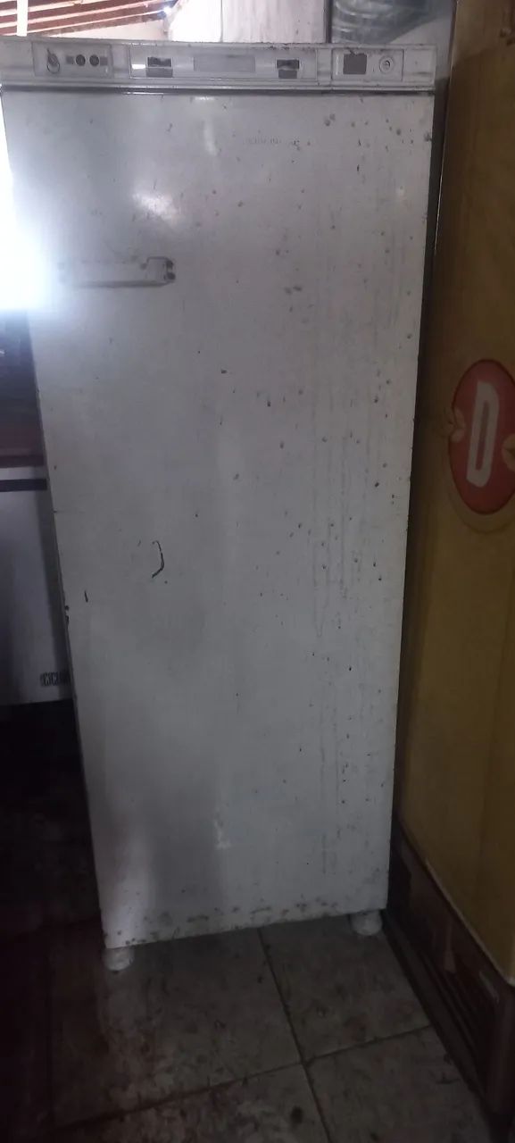Freezer vertical 