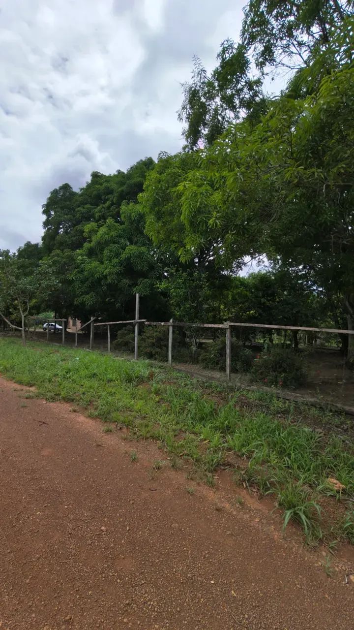 fazenda grande no canta - Foto 4