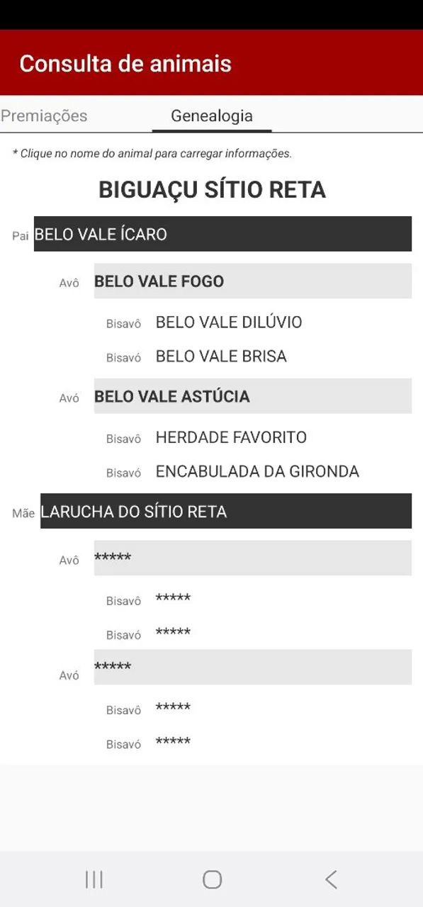 Vendo cavalo garanhão Mangalarga Marchador registrado de marcha picada - Foto 5