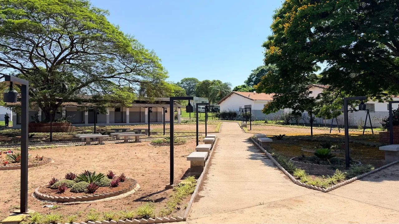 Vendo lindo sítio com Fonte de renda garantida  - Foto 3
