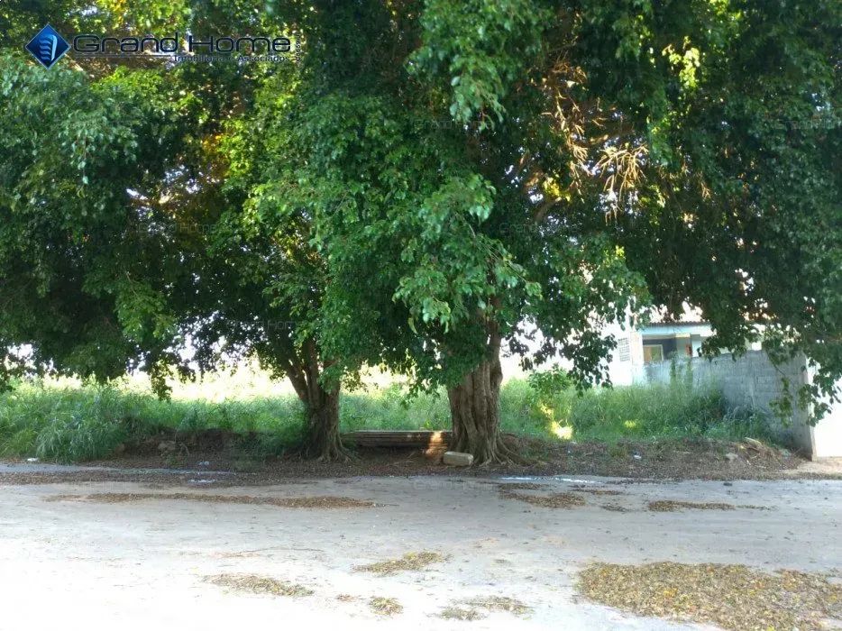 Terreno em Ponta da Fruta - Foto 4