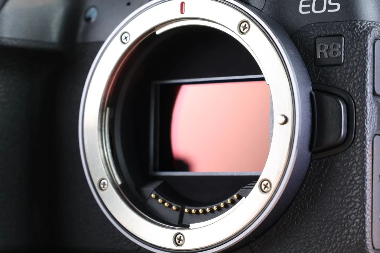 Canon EOS R8 - Mirrorless Full Frame  - Foto 3