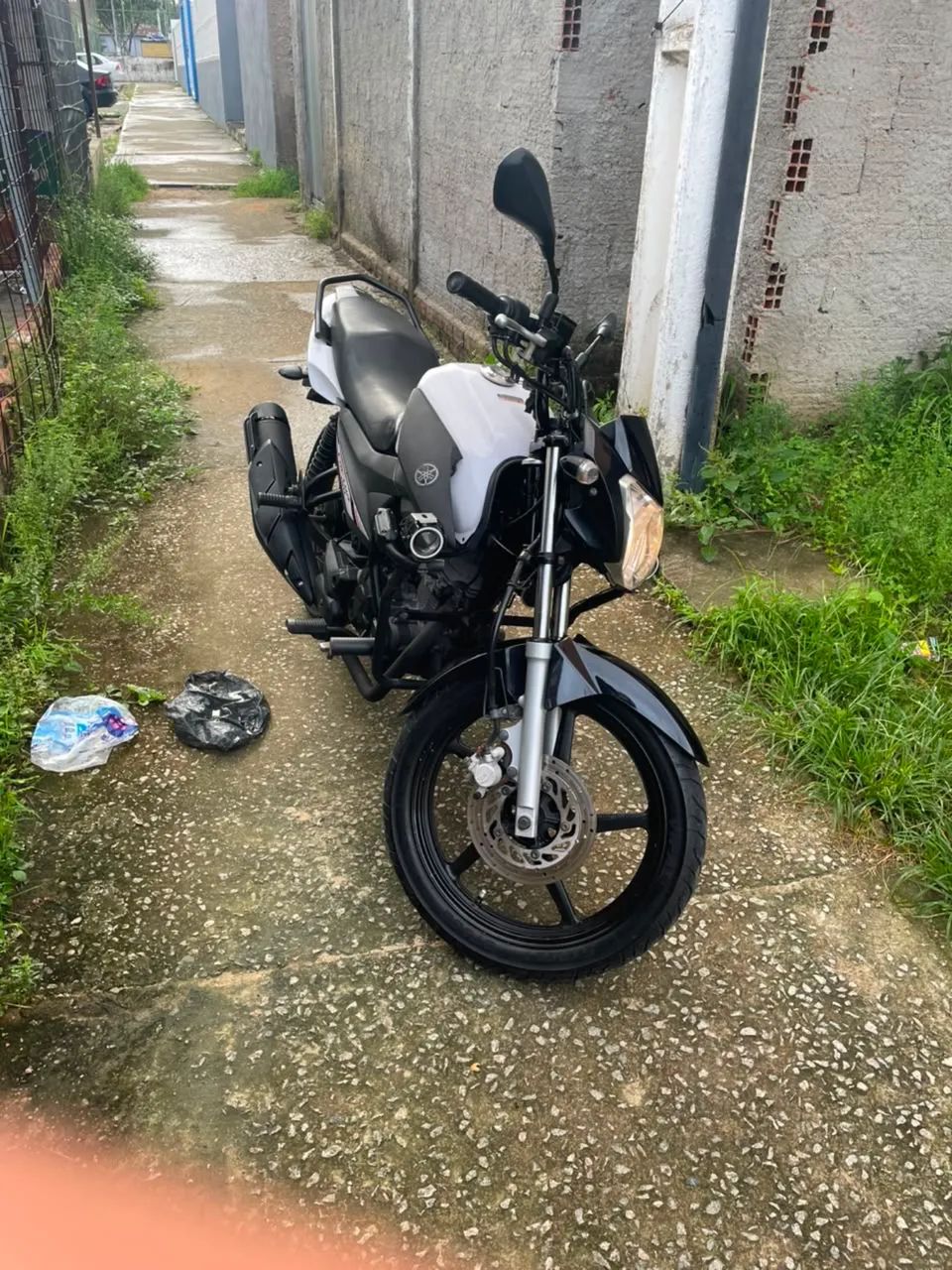 Factor 150cc 22/23 - Foto 2