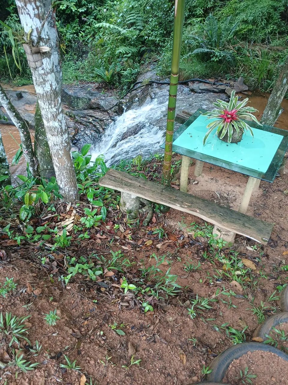 Sitio em Araguaia com cachoeira  - Foto 3