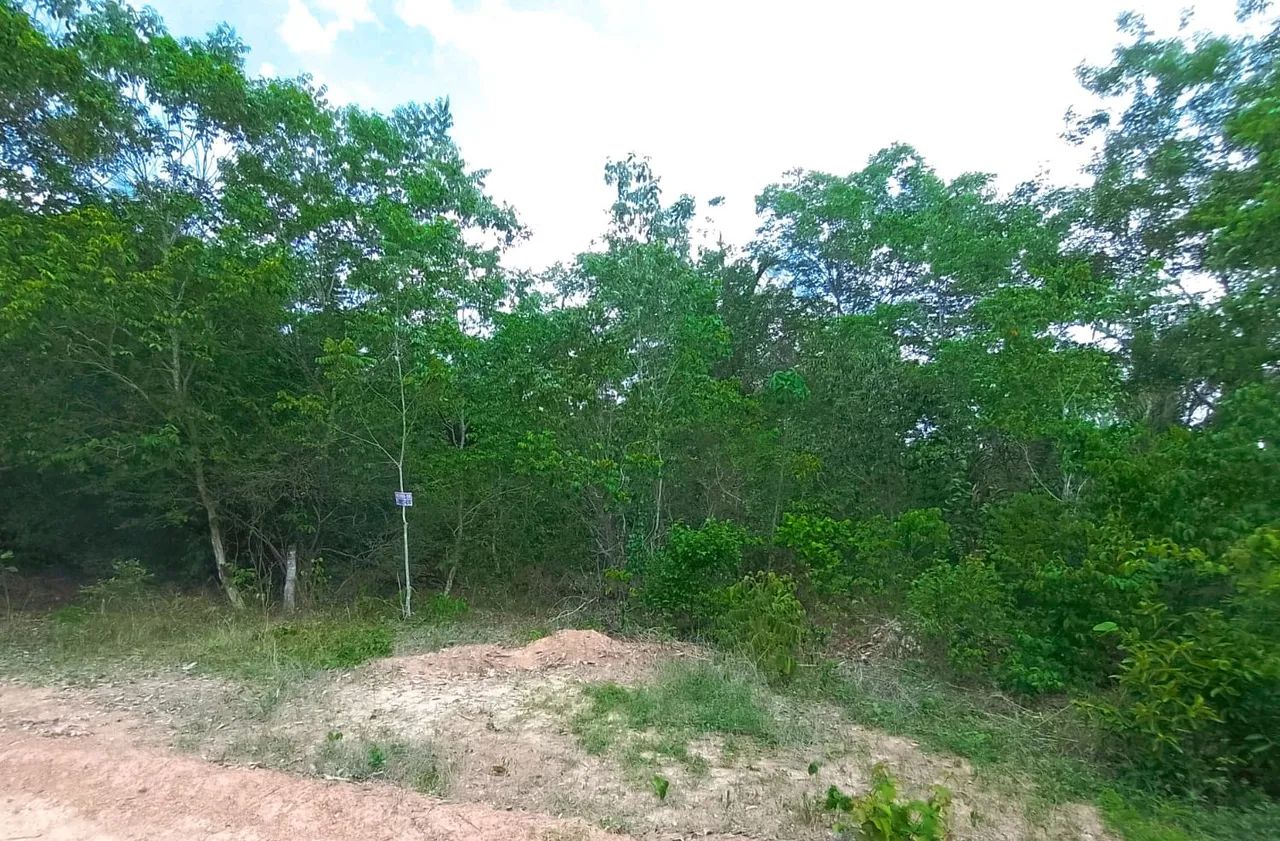 Venda de Terreno  - Foto 3