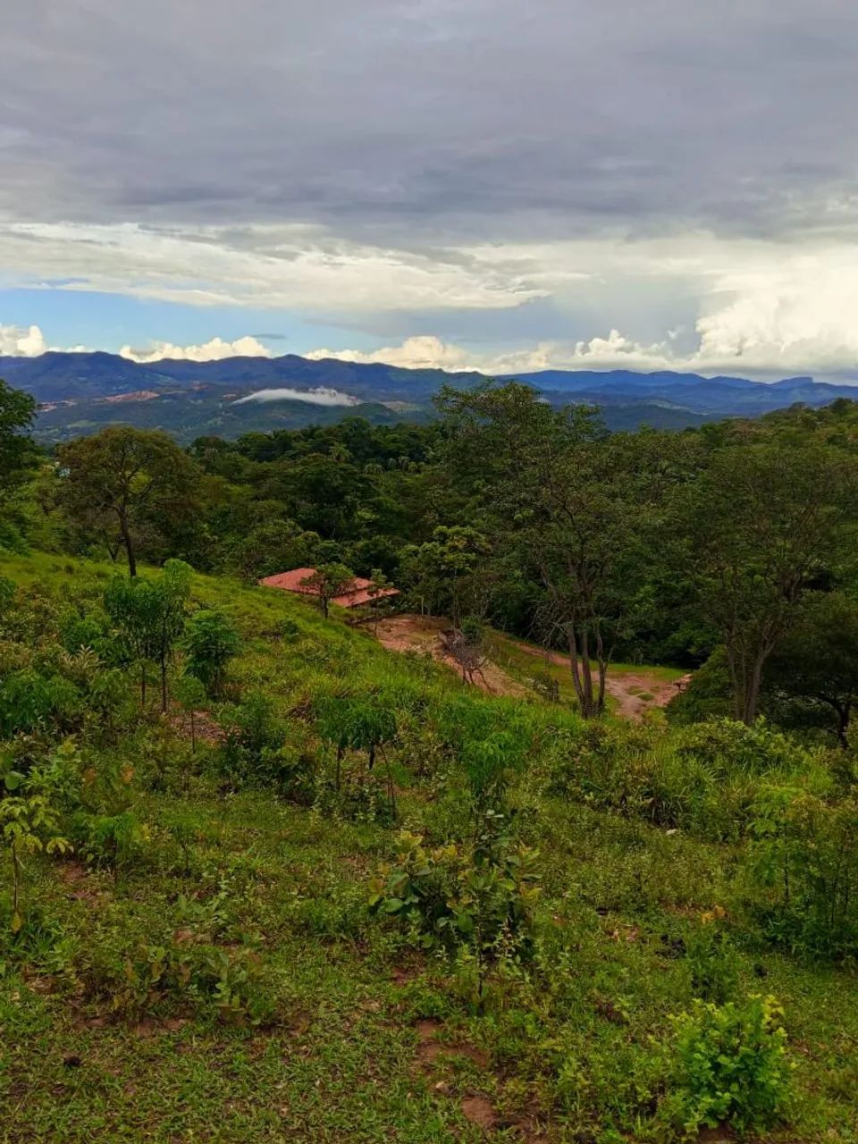 Sítio em Taquaraçu de Minas  - Foto 4