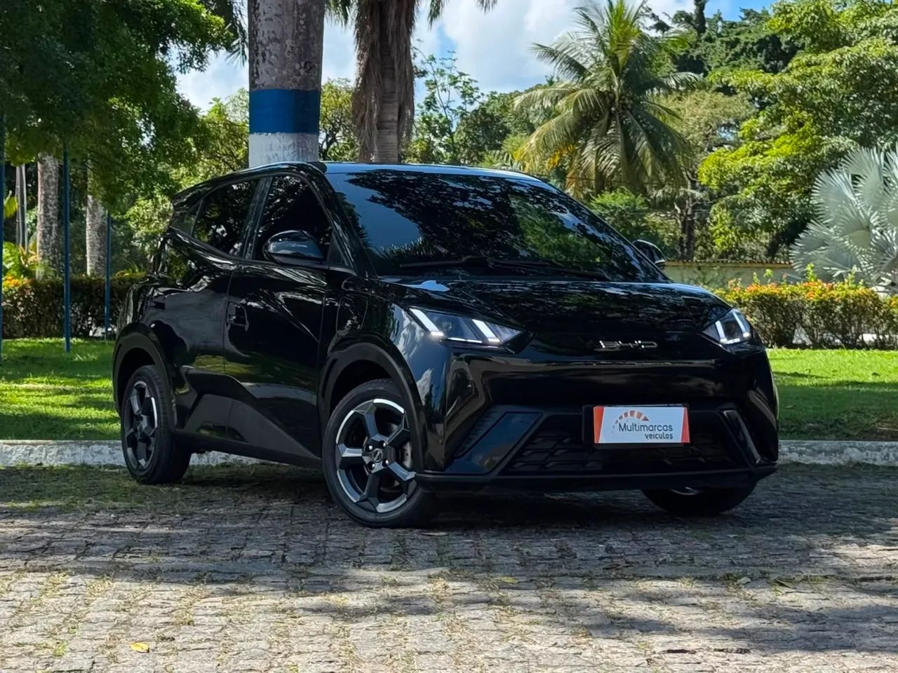 BYD Dolphin Mini (Elétrico) 2025 - Foto 2