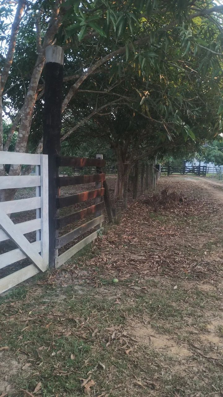 Chácara a venda , no ipixuna  - Foto 4