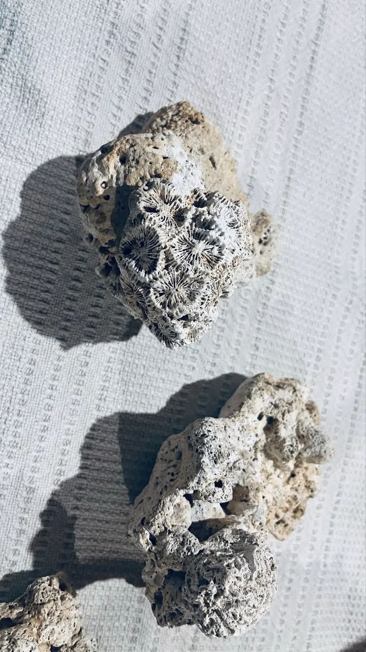 Pedra Aquática  - Foto 5