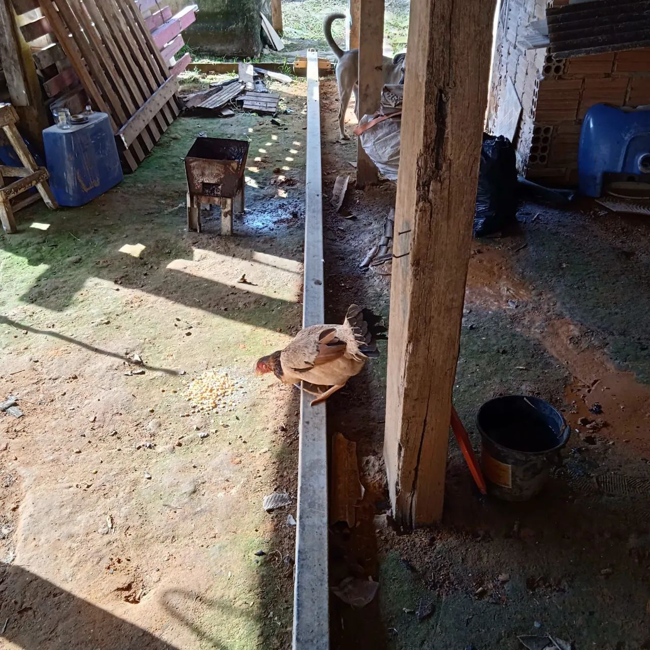Vende-se um poste e 15 telhas - Foto 2