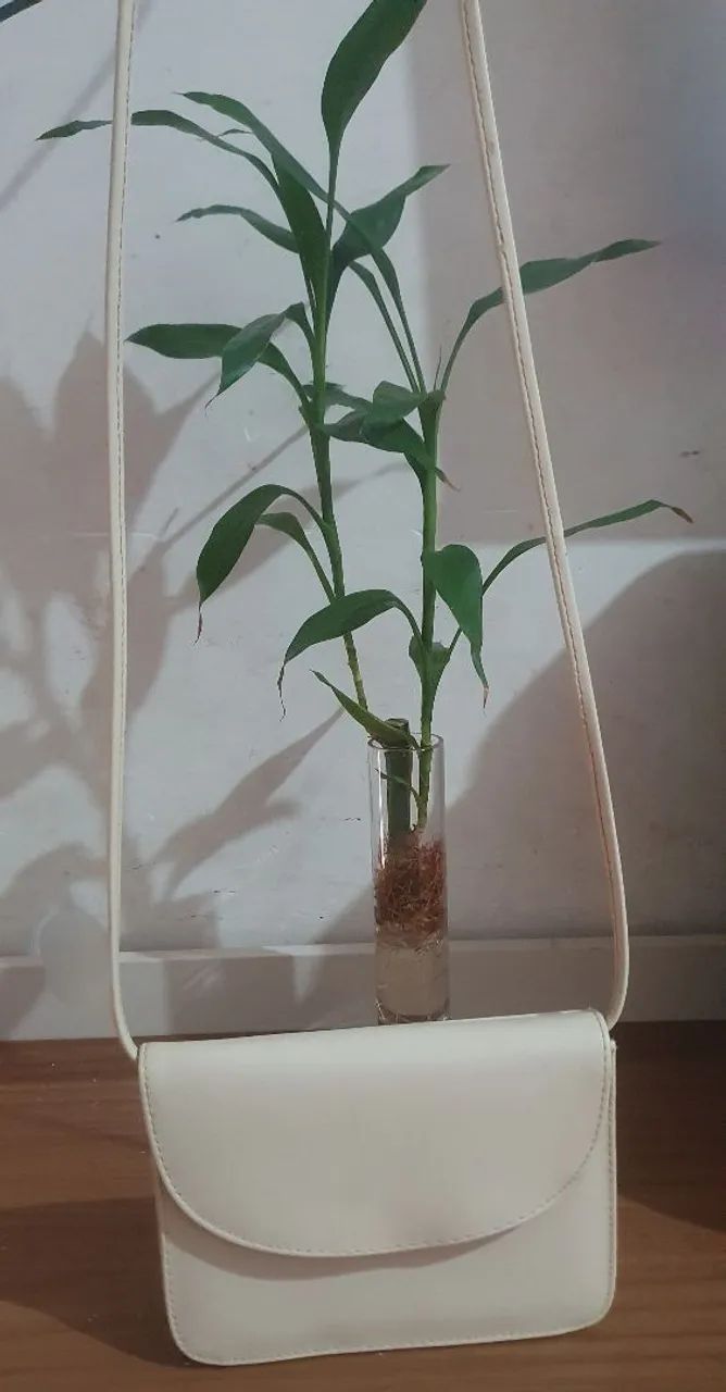 Bolsa baladinha 2