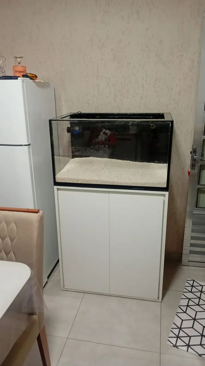 Aquário marinho 